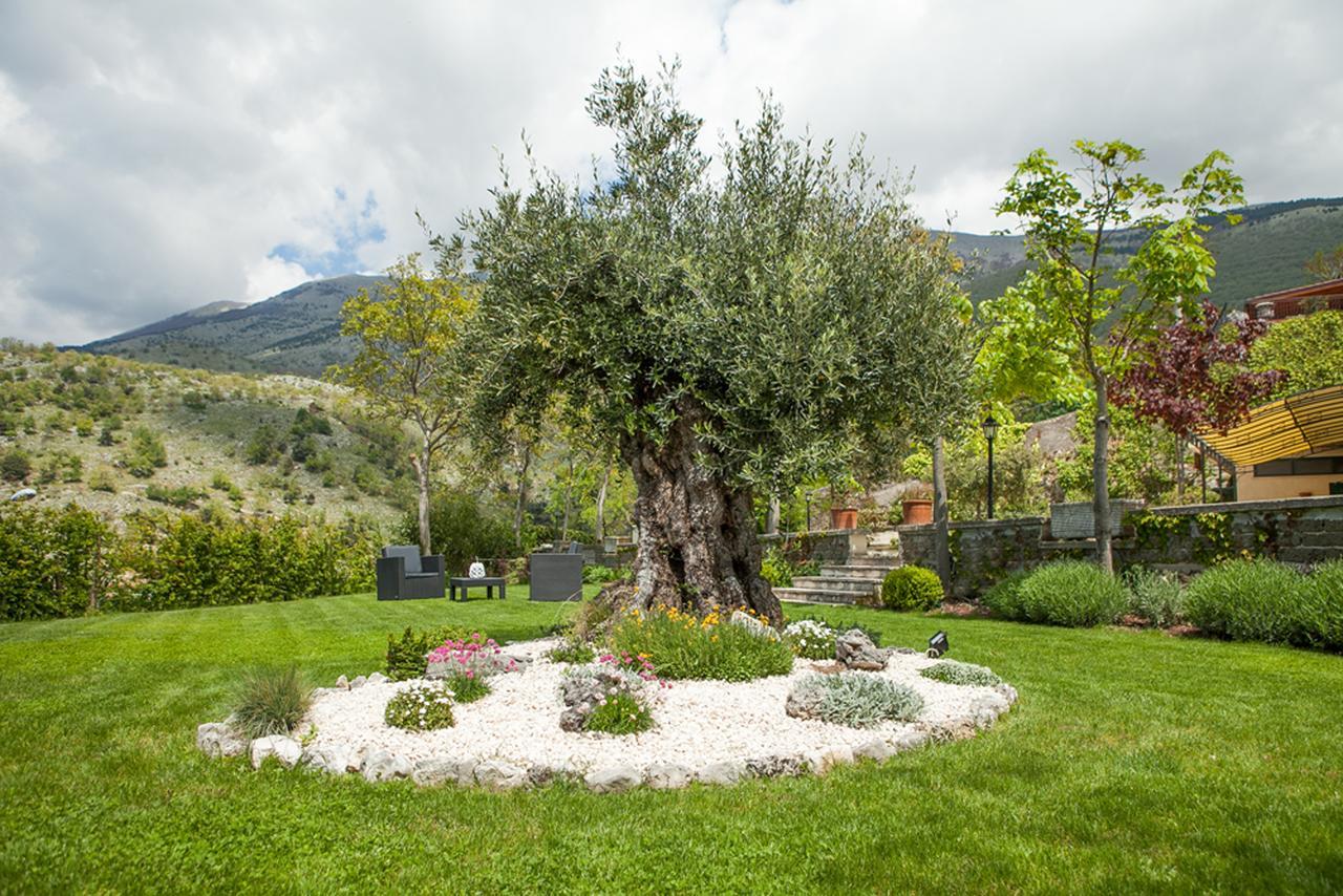 B&B Al Colle Pescosolido Exterior photo